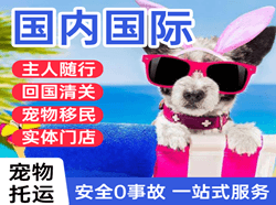 浦东空运公司国际宠物托运 【国